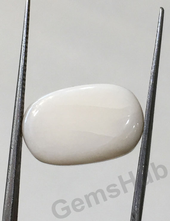 11.25 ratti/10.01 ct Natural Certified  White Coral/सफ़ेद मूंगा